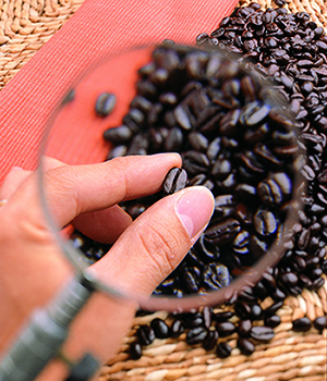 How to find the best office coffee delivery service